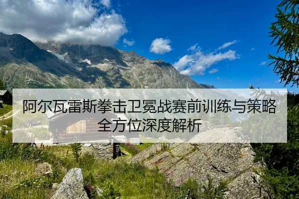 阿尔瓦雷斯拳击卫冕战赛前训练与策略全方位深度解析